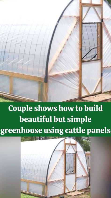 Couple shows how to build beautiful but simple greenhouse using cattle panels Cattle Panel Greenhouse Plans, Green House Diy Greenhouse Plans, Cattle Panel Greenhouse, Permaculture Orchard, Underground Greenhouse, Simple Greenhouse, Land Ideas, Greenhouse Design, Greenhouse Farming