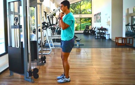 Bicep Cable Workouts: The 6 Best Cable Bicep Exercises Bicep Cable Workout, Cable Biceps, Cable Workouts, Cable Machine Workout, Bicep Exercises, Best Biceps, Concentration Curls, Biceps Brachii, Cable Workout