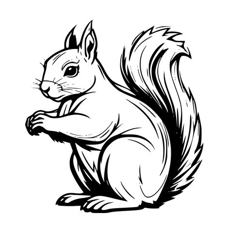 Check this out on SVG.io Squirrel Svg Free, Squirrel Art, Free Svg, Cricut, Art