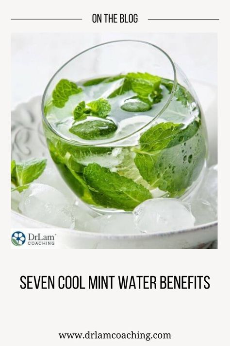 Mint In Water Benefits, Benefits Of Mint Leaves In Water, Mint Water Benefits, Mint In Water, Drinks For Energy, Mint Leaves Benefits, Water Benefits For Skin, Peppermint Water, Immunity Drink