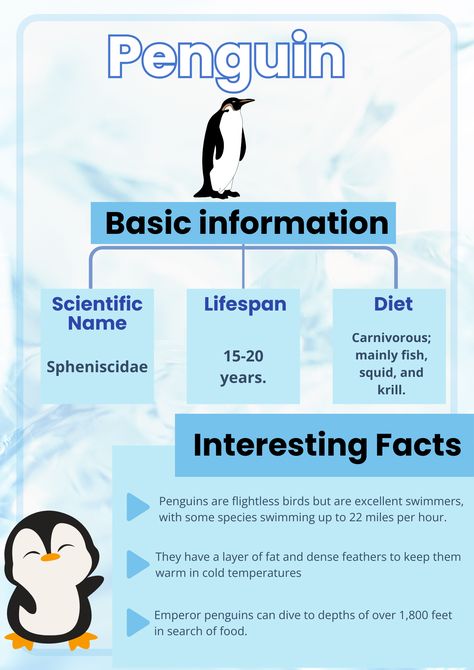 Penguin poster with interesting facts! #animal#poster#penguin Penguin Facts Preschool, Penguin Poster, Penguin Facts, All About Penguins, Flightless Bird, Emperor Penguin, Animal Poster, Special Interest, Cold Temperature