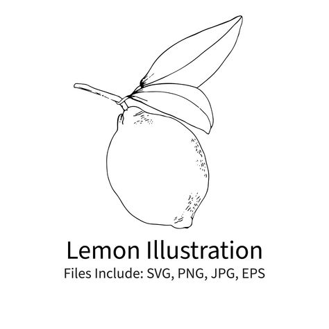 Lemon Leaves Tattoo, Lemon Line Tattoo, Drawing Lemons, Lemon Drawing Simple, Lemon Line Drawing, Tablecloth Embroidery, Lemon Illustration, Lemon Drawing, Lemon Boy