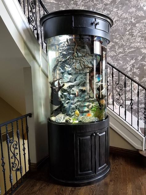 Aquarium Cylinder, Aquarium Landscape, My Safe Space, Betta Fish Tank, Aquarium Tank, Saltwater Fish, Bed Furniture Design, Fish Tanks, Cool Landscapes