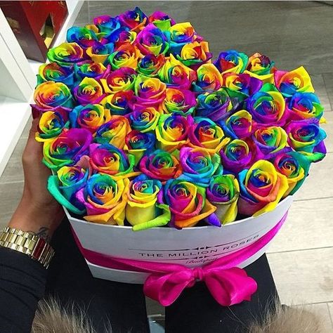 The Million Roses, Million Roses, Rosen Box, Colored Roses, Rainbow Roses, Pink Boutique, Colorful Roses, Luxury Flowers, Beautiful Rose Flowers