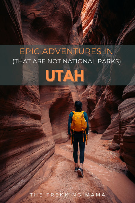 There is no shortage of things to explore in the beautiful state of Utah. Utah is all about adventure. Every time I visit I cant get enough of the beauty of this state. And honestly there are probably a lifetime full of Epic Utah Adventures! Ivins Utah, Utah Bucket List, Utah Summer, 2025 Travel, Goblin Valley State Park, Utah Hiking, Utah State Parks, Snow Canyon State Park, Utah Camping