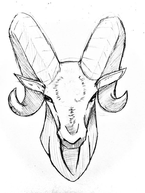 Ram Animal Drawing, Ram Head Drawing, Ram Doodle, Ram Horns Drawing, Goat Drawing Sketch, Goat Face Drawing, Ram Skull Drawing, Ram Cartoon, Horns Drawing References