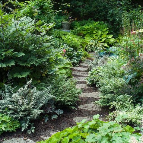 Yard Pathway, Shade Garden Design, Pathway Landscaping, Garden Walkway, Stone Path, Have Inspiration, Woodland Garden, Garden Pathway, Plants And Flowers