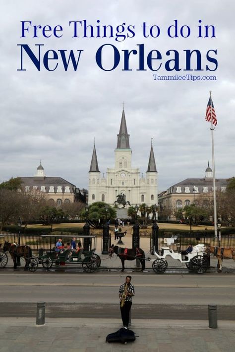 The best Free Things to do in New Orleans, Louisiana! Check off your New Orleans Bucket List and save money with these fun free activities. Including the French Quarter and all over town you will be amazed at how many free things you can do on vacation in New Orleans. Music Nature, The French Quarter, Free Yoga, Travel Articles, New Orleans Louisiana, Free Activities, Free Things To Do, French Quarter, Free Things