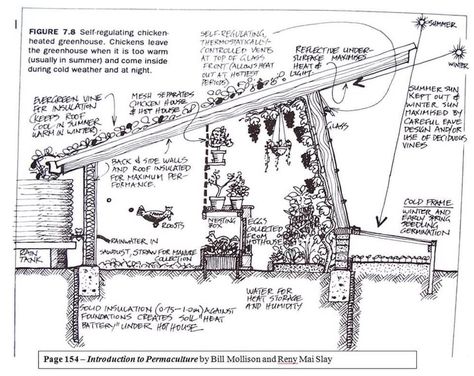 Aquaponics Greenhouse, Chicken Coop Garden, Aquaponics Fish, Aquaponics Diy, Sun Loving Plants, Permaculture Design, Aquaponics System, Rainwater Harvesting, Diy Greenhouse