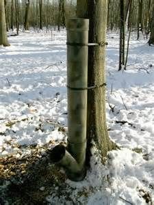 Homemade deer feeder: HOMEMADE DEER FEEDER Pvc Deer Feeder, Gravity Deer Feeders, Deer Feeder Diy, Pvc Chicken Feeder, Deer Feed, Food Plots For Deer, Hunting Shack, Deer Feeders, Bow Hunting Deer