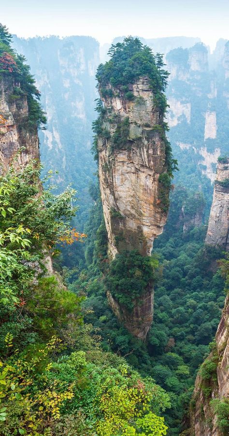 Tianzi Mountains, Mountain China, Manual Driving, 숲 사진, Zhangjiajie, Awesome Places, Forest Park, China Travel, Rock Formations