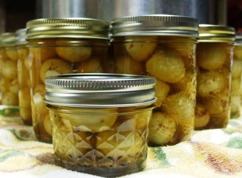 Cajun Pickled Quail Eggs Recipe Cajun Pickled Quail Eggs Recipe, Fig Preserves Recipe, Pickled Quail Eggs, Pickled Eggs Recipe, Quail Recipes, Fig Preserves, Eggs For Sale, Pickled Eggs, Fig Recipes