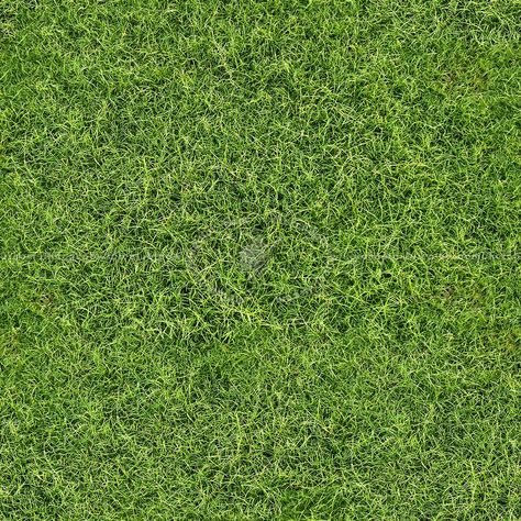 Green grass texture seamless 13048 Grass Texture Seamless, Grass Photoshop, Grass Texture, Too Faced Eyeshadow, Frame Wall Collage, Floor Texture, Tile Texture, Grass Flower, Architectural Floor Plans