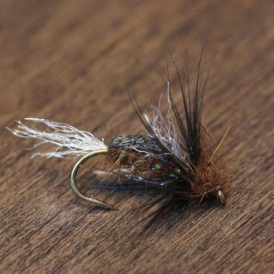 Best Trout Flies, Pike Fish Recipes, Drop Shot Rig, Caddis Flies, Fly Fishing Flies Pattern, Trout Flies, King Salmon, Fly Fishing Tips, Pike Fishing