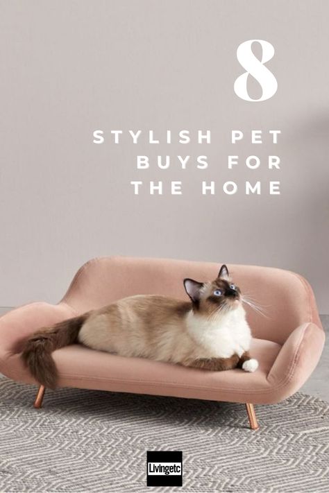 Cat Sofa Diy, Cat Bed Table, Cute Cat Beds, Luxury Pet Furniture, Cat Sofa, Brown Kitten, Cat Grey, Cozy Beds, Cat Couch