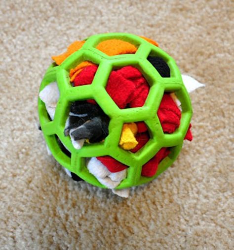 10 Genius DIY Dog Toys That Are Crazy Easy Lou Dog, Homemade Dog Toys, Brain Games For Dogs, Diy Dog Toys, Dog Enrichment, Dog Games, Dog Puzzles, Dog Projects, Interactive Dog Toys