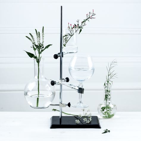 We love this botanical gin! Chemistry Periodic Table, Laboratory Idea, Botanical Wedding Inspiration, Tea Store Design, Laboratory Design, Chemistry Set, Coffee Lab, Mad Scientist, Pop Up Store