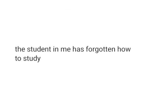 New Semester Caption, Funny Study Quotes Student, Study Funny Quotes, College Quotes Funny, Funny Bio Quotes, Sarcastic Words, Funny Status Quotes, College Quotes, Funny Words To Say