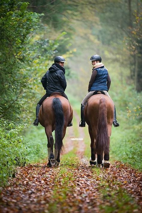 Balade Foto Cowgirl, Equestrian Helmet, Equestrian Boots, Horse Farm, Equestrian Lifestyle, Horse Blankets, Equestrian Life, Equine Photography, Horse Life