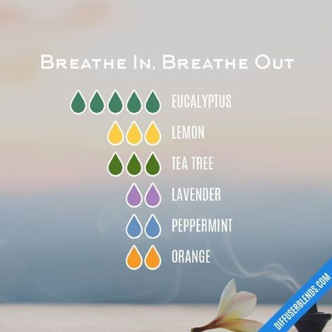 Oils For Breathing, Essential Oils For Breathing, Eo Blends, Plant Therapy Essential Oils, Essential Oil Combinations, Doterra Essential Oils Recipes, Essential Oil Diffuser Blends Recipes, Young Living Essential Oils Recipes, Essential Oils Guide