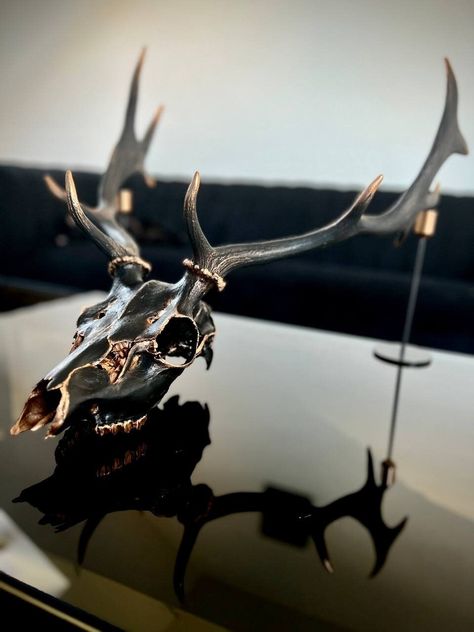 Skull Living Room Decor Ideas, Decorative Deer Skulls, Painting Deer Skulls, Euro Mount Ideas, Deer Skull Mount Ideas, Decorated Deer Skull, Deer Antler Crafts Diy, Antler Crafts Diy, Decorated Cow Skulls