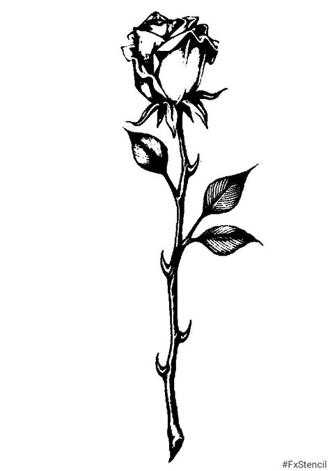 Rose Bush Tattoo Design, Wilted Rose Tattoo, Rose Ink Drawing, Flowers With Thorns, Rose With Thorns Tattoo, Rose With Thorns, Frida Kahlo Tattoos, Thorny Rose, Goth Tattoos