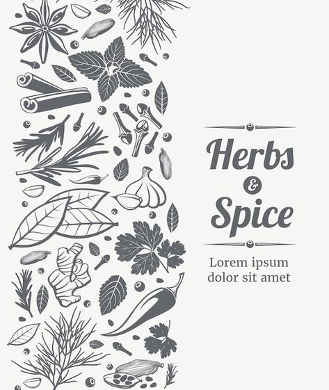 Spice Image, Ginger Root Tea, Herb Logo, Bakery Theme, Herbs Illustration, Herb Labels, Sketch Background, Spices Packaging, Different Types Of Tea