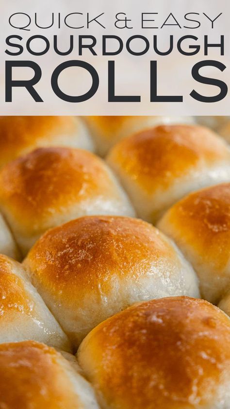 Discard Dinner Rolls, Sourdough Discard Dinner Rolls, Sourdough Discard Dinner, Sourdough Dinner, Dough Starter Recipe, Sourdough Starters, Sourdough Dinner Rolls, Easy Sourdough Bread Recipe, Sourdough Rolls