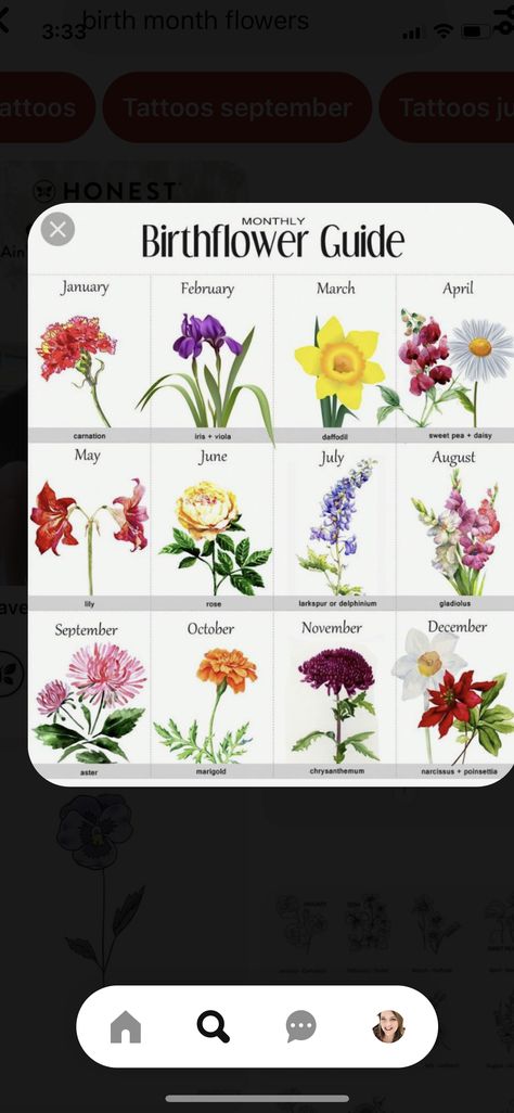 Narcissus Bouquet, Daisy May, Daisy Tattoo, Birth Month Flowers, Delphinium, Birth Flower, Birth Month, Birth Flowers, Chrysanthemum