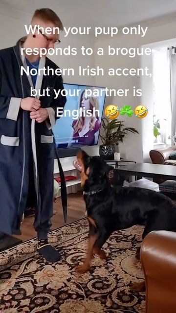 Irish Daily on Instagram: "When your pup only responds to a brogue Northern Irish accent, but your partner is English🤣☘️🤣 Feel free to tag/share with family/friends you think might enjoy this 🤣☘️🤣 #irishaccent #englishaccent . 📸👉 TT: Megan.reads.a.lot 👏☘️👏 #irish_daily #reelsoftheday #irish #puppy #dogsofinstagram #dog #northernireland" Irish Accent, English Accent, Northern Irish, Northern Ireland, Family Friends, You Think, Travel Tips, Thinking Of You, Feel Free