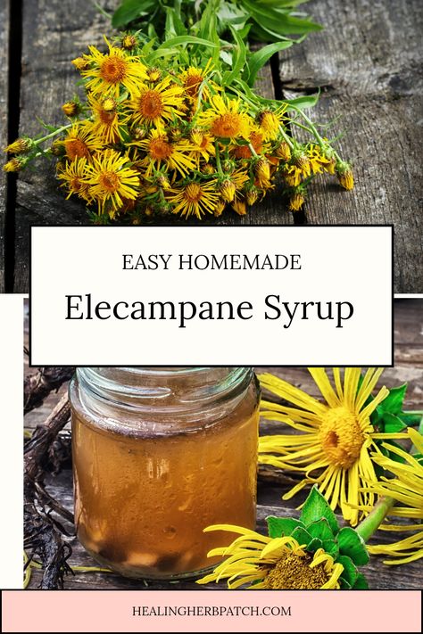 Looking for a natural remedy to support your respiratory health? Check out this easy homemade elecampane syrup recipe! Crafted from the horse heal flower, this syrup is packed with herbal goodness, making it a perfect choice for soothing throat discomfort and boosting your overall well-being. Our step-by-step guide makes the process simple, whether you're new to herbal remedies or a seasoned pro in your kitchen. Learn how to transform this magical flower into a refreshing syrup you'll love, all while unlocking its healing benefits! Natural Medicine Recipes, Cough Syrup Recipe, Horse Healing, Medicine Recipes, Homemade Cough Syrup, Herbal Medicine Recipes, Sooth Sore Throat, Cough Suppressant, Elderberry Syrup