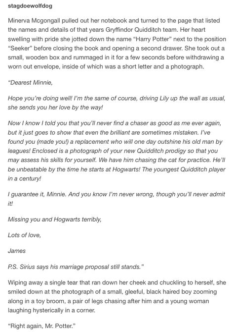 The Marauders - James Potter's letter to McGonagall Yer A Wizard Harry, Harry Potter Headcannons, Harry Potter Jokes, Harry Potter Marauders, Harry Potter Love, Marriage Proposal, Gifts For Photographers, Harry Potter Obsession, Wizarding World Of Harry Potter