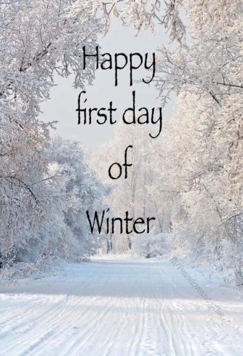 Happy First Day Of Winter Images, 1st Day Of Winter, Happy First Day Of Winter, Forever Winter, December Quotes, Happy Winter Solstice, First Day Of Winter, Good Morning Today, Goddess Athena