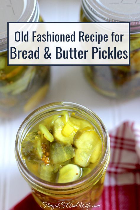 Bread And Butter Pickle Recipe, Freezer Pickles, Bread N Butter Pickle Recipe, Making Dill Pickles, Decadent Recipes, Multicultural Recipes, Easy Pickling Recipes, Bread And Butter Pickles, Butter Pickles