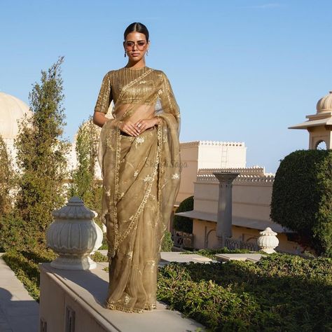 Is there anything else more Royal than colour gold? Sabyasachi's golden mesh monochrome saree will take your breath away.  #sabyasachibride #sabyasachisaree #indianwedding #shaadisaga #monochromesaree #goldensaree Sabyasachi Sarees, Golden Saree, Elegant Saree, Embroidered Wedding, Stylish Sarees, Saree Look, Chiffon Saree, Fancy Sarees, Party Wear Sarees