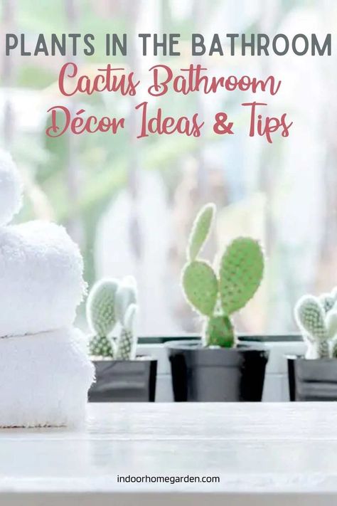 Cactus Bathroom Decor, Cactus Bathroom, Round Cactus, Euphorbia Lactea, Color Bathroom, Garden Site, Cactus Diy, White Pot, Bathroom Themes