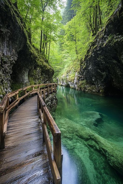 Discover the Charm of Green Escapes in Slovenia 🌲✨ Explore Slovenia's pristine landscapes with eco-friendly travel options. Hike through national parks, stay in eco-lodges, and enjoy activities like kayaking and cycling in nature. 🌿 #GreenTravelSlovenia #SustainableTourism #EcoFriendlyAdventure #Slovenia Eco Lodges, Green Travel, Sustainable Tourism, Eco Friendly Travel, Nature Travel, Slovenia, In Nature, Kayaking, National Park