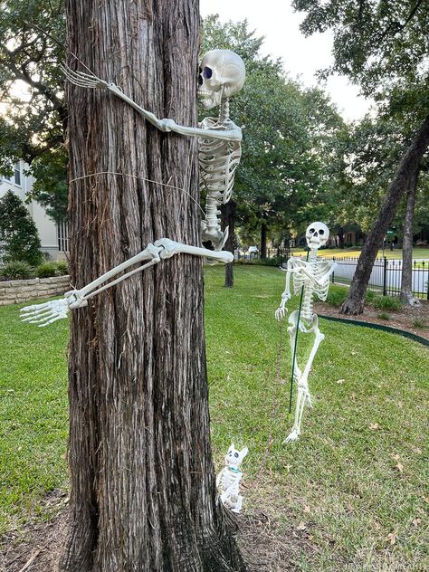 The hacks to decorating with skeletons in the yard: How to stand on their own, climb the house or trees, keep arms and legs in place, plus funny display ideas!