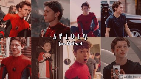 Peter Benjamin Parker, Tom holland, Spiderman. Tom Holland Laptop Wallpaper, Tom Holland Desktop Wallpaper, Aesthetic Tom Holland, Tom Holland Spider Man, Spider Man Wallpaper, Background Laptop, Tom Peters, Andrew Garfield Spiderman, Garfield Spiderman