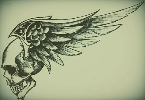 Skull With Wings Drawing, Skull With Wings Tattoo, Celtic Cross Tattoo For Men, Medusa Drawing, Skull With Wings, Harley Tattoos, Pegasus Art, Celtic Cross Tattoos, Skull Wings