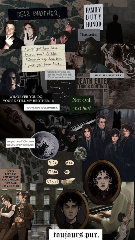 the tragedy that is regulus and sirius black Noble House Of Black Aesthetic Wallpaper, Slytherclaw Aesthetic, Regulus And Sirius Black, The Black Brothers, Sirius Black Quotes, Regulus Acturus Black, Missing My Brother, Sirius X, Black Brothers