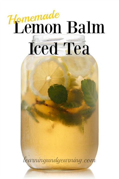 Herbal Eats, Herb Teas, Lemon Balm Recipes, Wild Recipes, Lemon Balm Tea, Iced Tea Recipe, Water Lemon, Tea Making, Herbal Teas Recipes