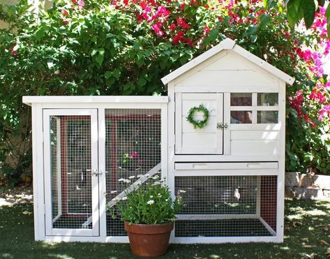 Best Indoor Rabbit Hutch. Cheap Outdoor Rabbit Hutch & Cage Reviews. Single & double rabbit hutch. How to choose the best rabbit hutch or cage? Double Rabbit Hutch, Rabbit Hutch Plans, Outdoor Rabbit Hutch, Unique Rabbit, Bunny Hutch, Indoor Rabbit, Rabbit Cages, Bunny Cages, House On Stilts