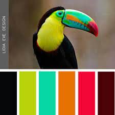 kingfisher bird color palette - Google Search Colour Wheel Combinations, Bathroom On A Budget, Tropical Bathroom, Colored Pencil Tutorial, Color Schemes Colour Palettes, Color Palette Bright, Nature Color Palette, Room Color Schemes, Color Palette Design