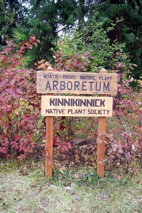 North Idaho Native Plant Arboretum  | Community of Gardens Plant Signs, North Idaho, American Garden, Arbour Day, Natural Heritage, Public Garden, Garden Club, American Life, Community Events