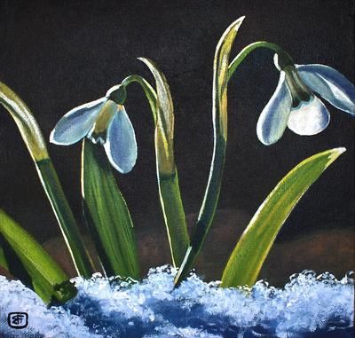 Snow Drops - 10x10 Atelier Interactive Painting Interactive Painting, Snow Drops Flowers, Colorful Landscape Paintings, Snow Drops, Foto Transfer, Spring Is Coming, Colorful Landscape, Water Lilies, Magpie