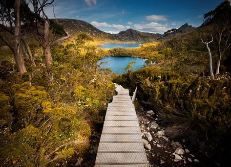 Hiker's calendar: the best places to walk in Australia, every month of the year | Australia holidays | The Guardian Cradle Mountain, Summer Hike, Southern Ocean, Mountain Wallpaper, Enjoy Summer, Mountain Lake, Day Hike, Free Hd Wallpapers, Tasmania