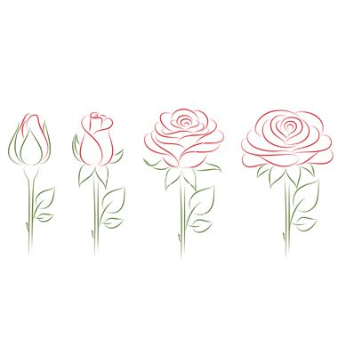 Blooming roses vector Hur Man Ritar Blommor, Roses Vector, How To Draw Flowers, Arte Doodle, Draw Flowers, Drawing Lesson, Rose Drawing, Roses Drawing, Vector Flowers