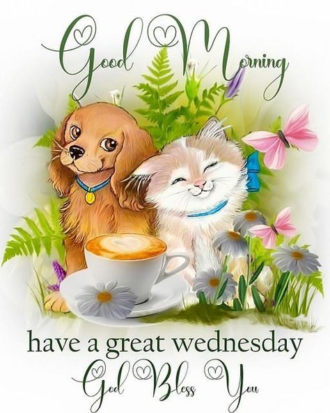 Wednesday Pictures, Wednesday Morning Greetings, Wednesday Greetings, Good Morning Massage, Hugs And Kisses Quotes, Good Wednesday, Happy Day Quotes, Good Morning Wednesday, Happy Wednesday Quotes