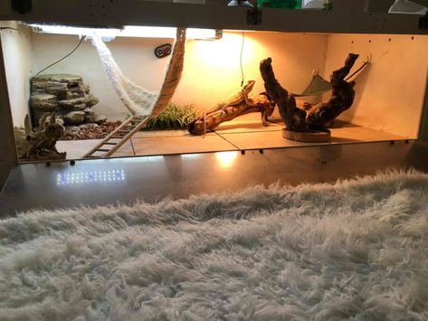 The ideal enclosure size for an adult bearded dragon is 48'' x 24'' x 24'' which is about 120 gallon.  #beardeddragon 120 Gallon Bearded Dragon Tank, Diy Bearded Dragon Enclosure, Window Ventilation, Bearded Dragon Terrarium, Bearded Dragon Tank, Bearded Dragon Enclosure, Bearded Dragon Cage, Bearded Dragon Diy, Large Terrarium